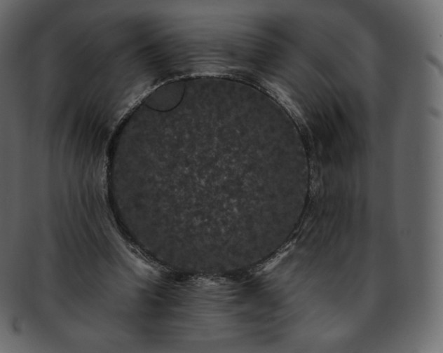 X0000093370346200710191120