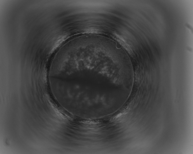 X0000093370347200710191120