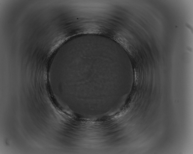 X0000093370348200710191120