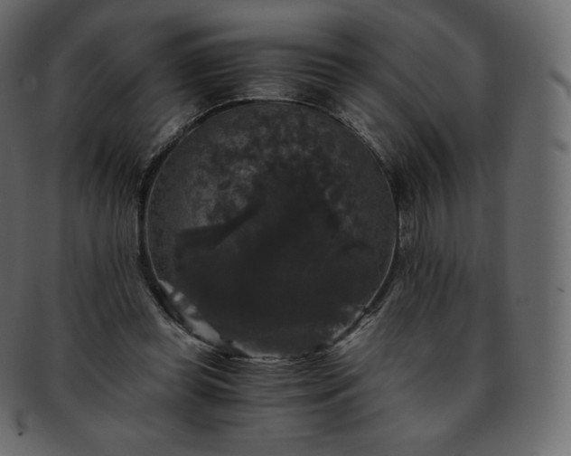 X0000093370349200710191120