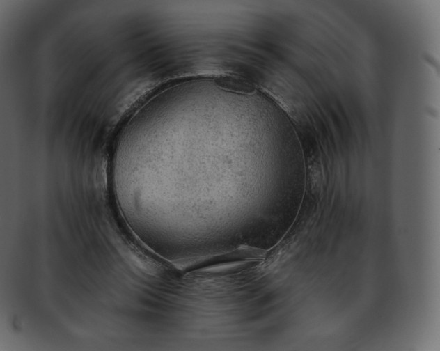 X0000093370350200710191120