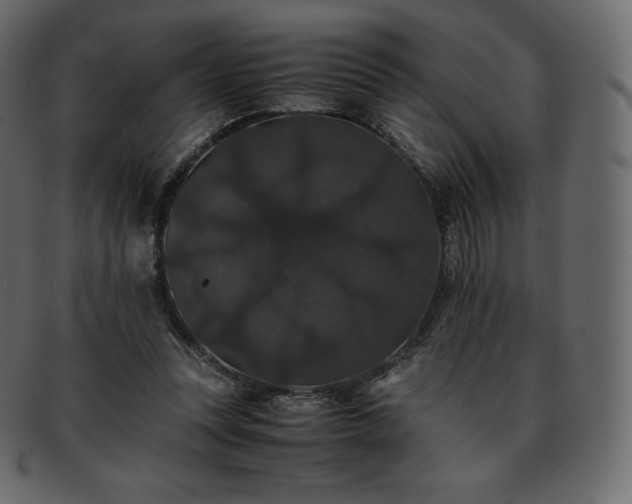 X0000093370351200710191120