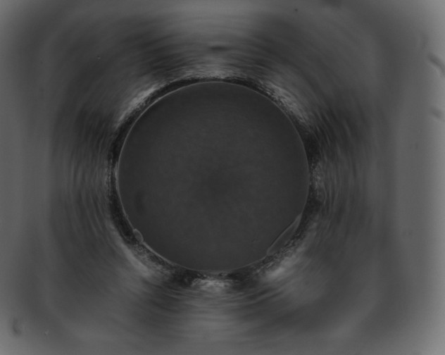 X0000093370352200710191120