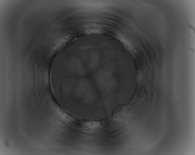 X0000093370353200710191120