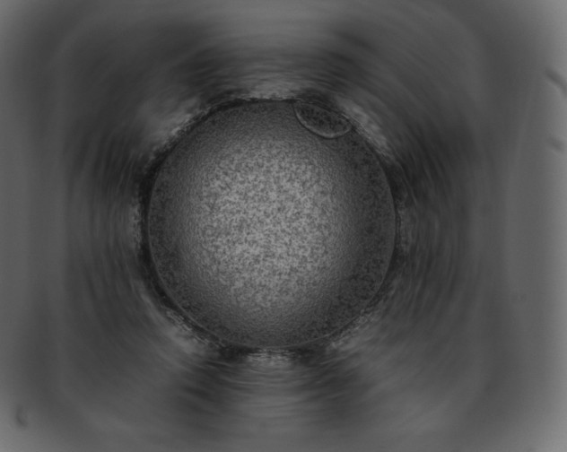 X0000093370354200710191120