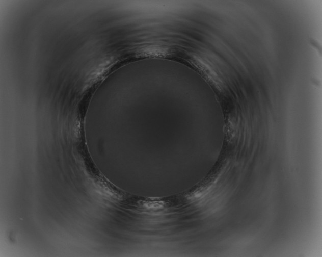 X0000093370355200710191120