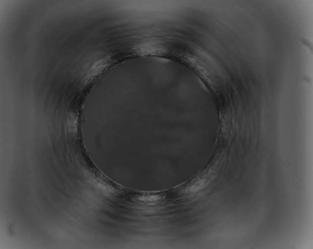 X0000093370357200710191120