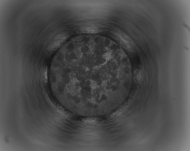 X0000093370358200710191120