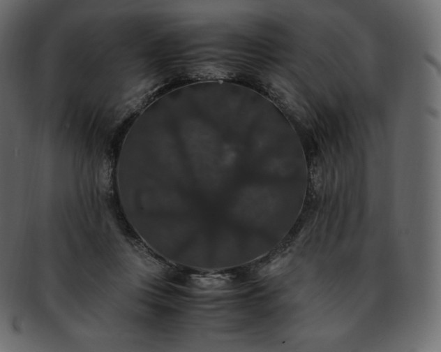 X0000093370359200710191120