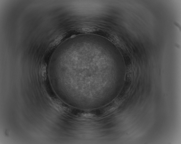 X0000093370360200710191120