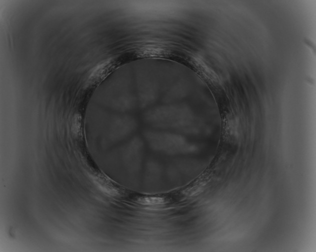 X0000093370361200710191120