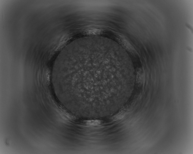 X0000093370363200710191120