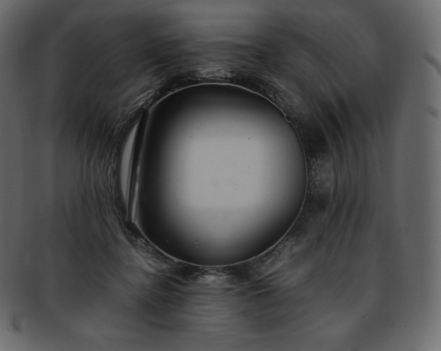 X0000093370364200710191120