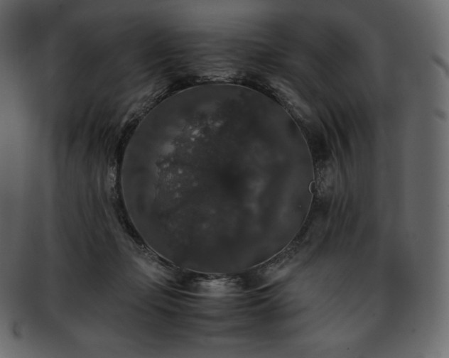 X0000093370365200710191120