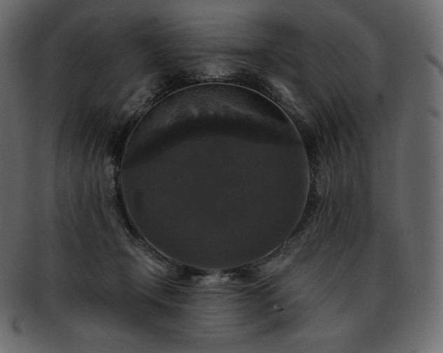 X0000093370366200710191120