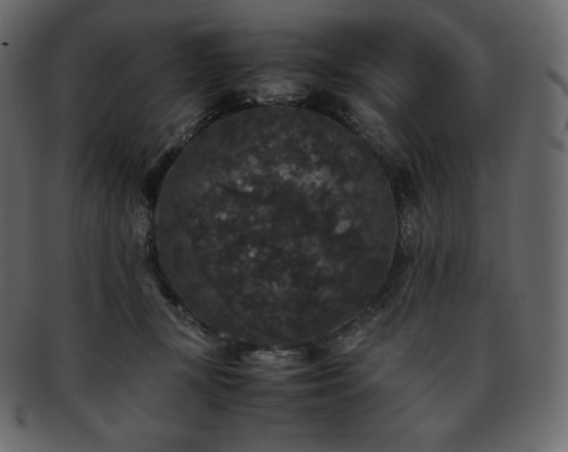 X0000093370367200710191120