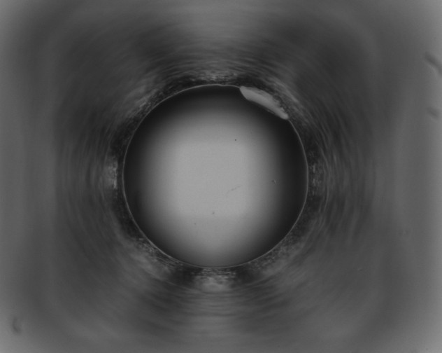 X0000093370368200710191120