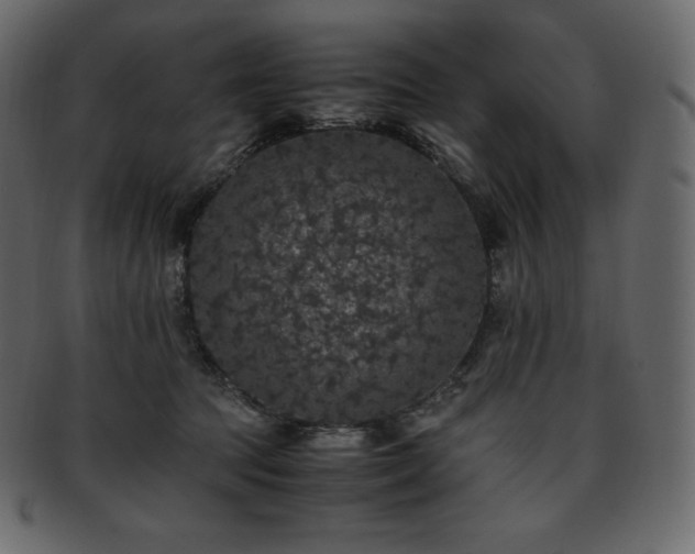 X0000093370369200710191120