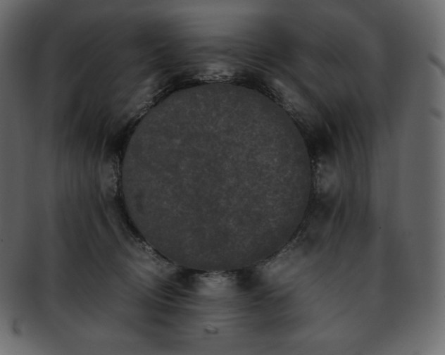 X0000093370370200710191120