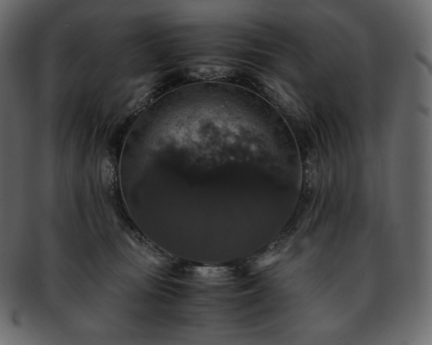 X0000093370371200710191120