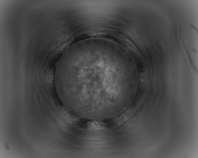 X0000093370372200710191120