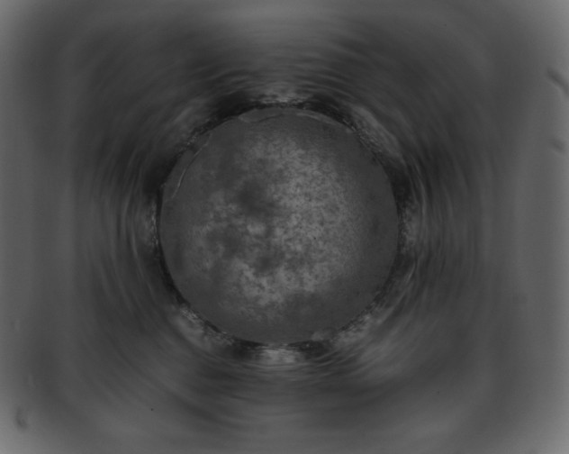 X0000093370376200710191120