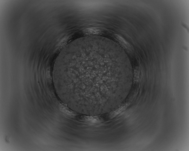 X0000093370377200710191120