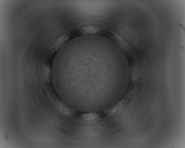 X0000093370378200710191120