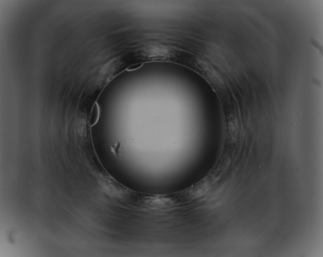 X0000093370379200710191120