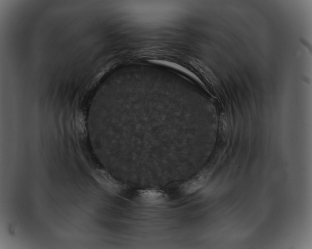 X0000093370380200710191120