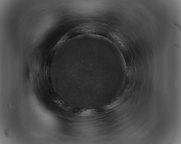 X0000093370382200710191120