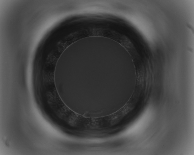 X0000093370383200710191120