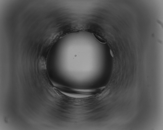 X0000093370384200710191120