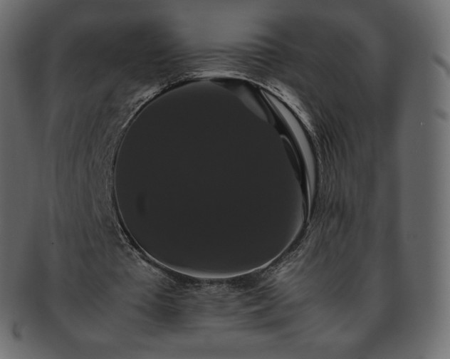 X0000093370385200710191120