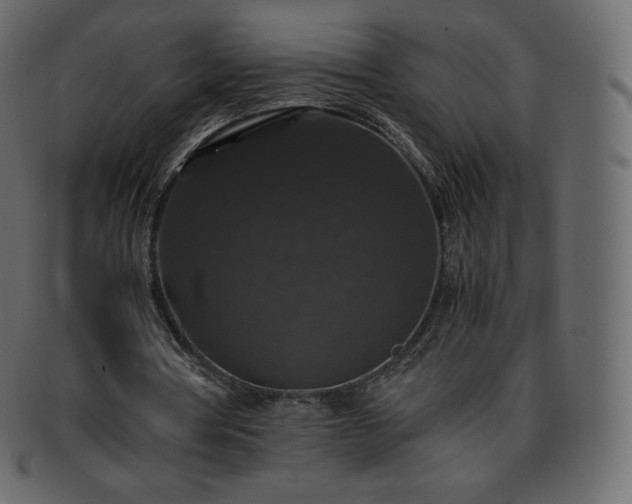 X0000093370386200710191120