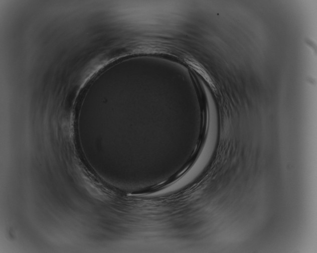 X0000093370387200710191120