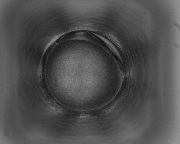 X0000093370388200710191120