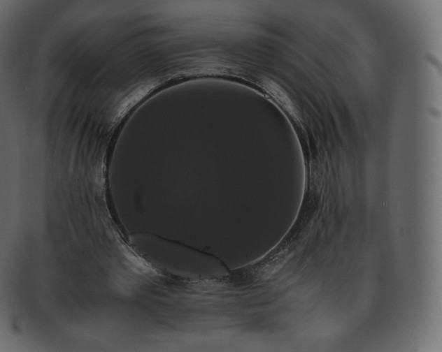 X0000093370389200710191120