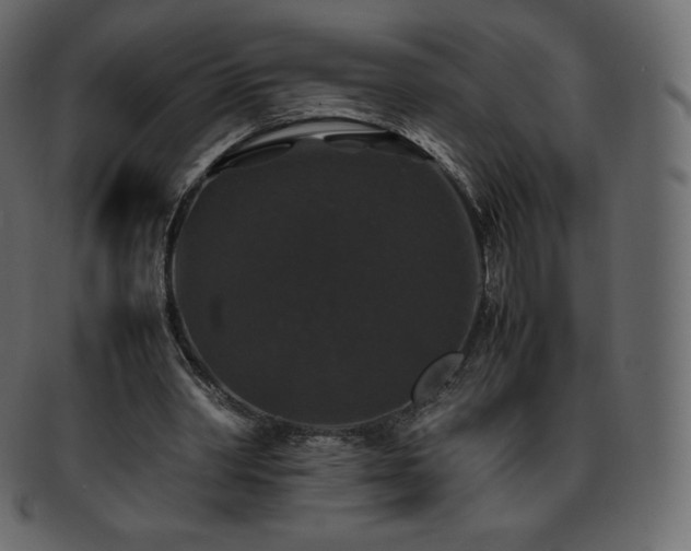 X0000093370390200710191120