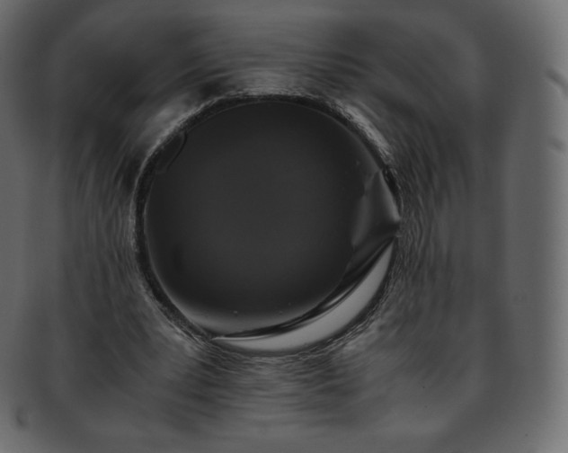 X0000093370391200710191120