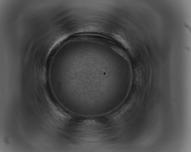 X0000093370392200710191120