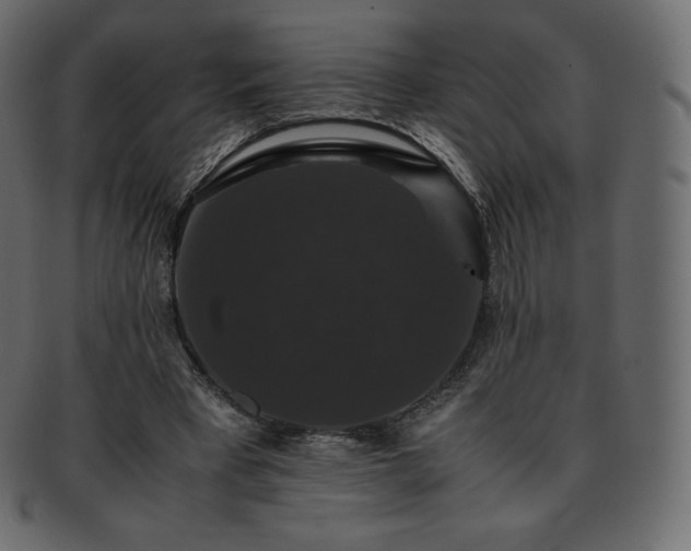 X0000093370393200710191120