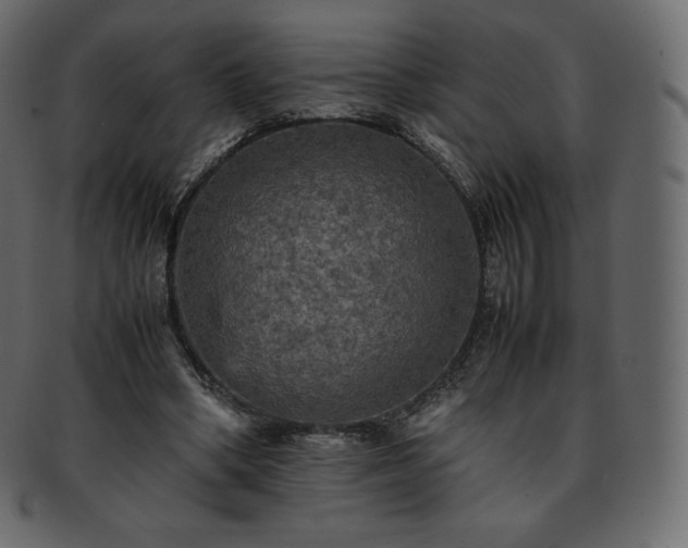 X0000093370394200710191120