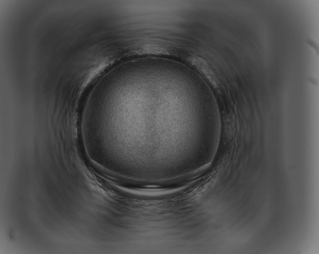 X0000093370395200710191120