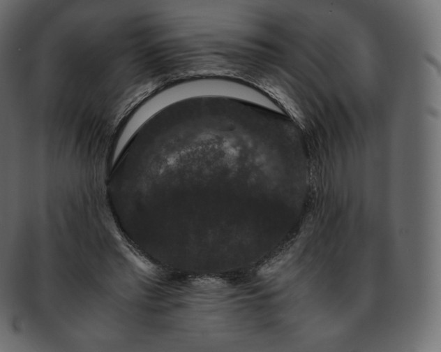 X0000093370397200710191120