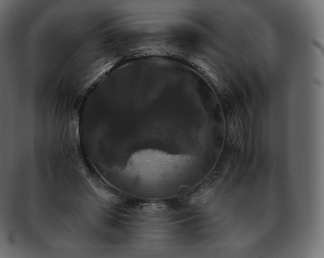 X0000093370398200710191120