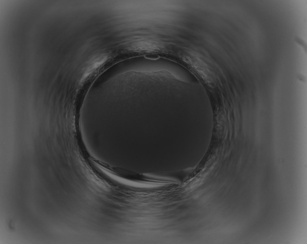 X0000093370399200710191120