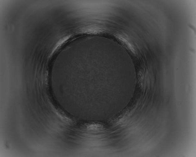 X0000093370400200710191120