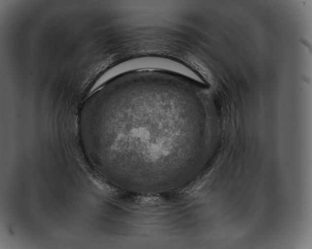 X0000093370401200710191120