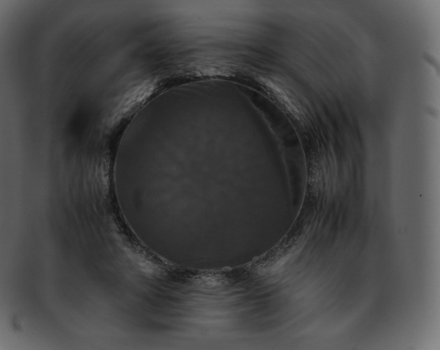 X0000093370402200710191120